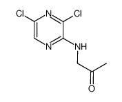 2-[(2-oxo-1-propyl)amino]-3,5-dichloropyrazine Structure