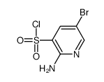 2-AMINO-5-BROMOPYRIDINE-3-SULFONYLCHLORIDE picture