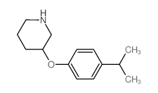 3-(4-propan-2-ylphenoxy)piperidine结构式
