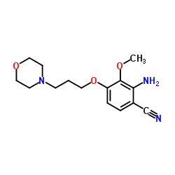 1032570-98-1 structure