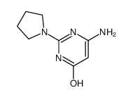 6-amino-2-pyrrolidin-1-yl-1H-pyrimidin-4-one Structure