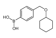 4-(Cyclohexyloxy)Methylphenylboronic acid Structure