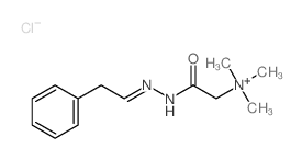 Ethanaminium,N,N,N-trimethyl-2-oxo-2-[2-(2-phenylethylidene)hydrazinyl]-, chloride (1:1)结构式