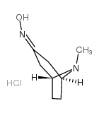 8-METHYL-8-AZABICYCLO[3.2.1]OCTAN-3-ONE OXIME HYDROCHLORIDE picture