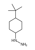 (4-tert-butylcyclohexyl)hydrazine Structure