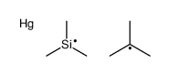 tert-butylmercury,trimethylsilicon Structure