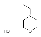 N-ethylmorpholine hydrochloride Structure