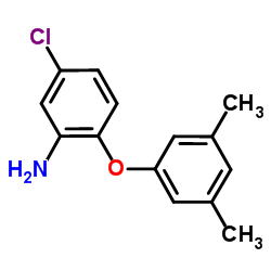 5-Chloro-2-(3,5-dimethylphenoxy)aniline结构式