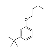 1-butoxy-3-tert-butylbenzene Structure