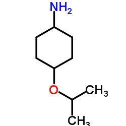 反式-4-异丙氧基环己胺图片