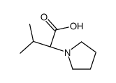 (S)-3-methyl-2-(pyrrolidin-1-yl)butanoic acid Structure