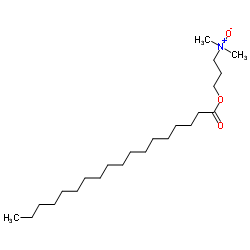 N-[3-(dimethylamino)propyl]stearamide N-oxide结构式