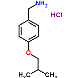 4-(异丁氧基)苯甲胺盐酸盐结构式
