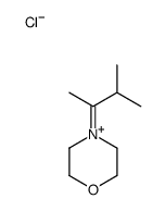 4-(3-methylbutan-2-ylidene)morpholin-4-ium,chloride Structure