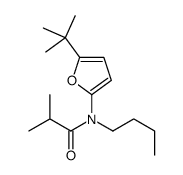 N-butyl-N-(5-tert-butylfuran-2-yl)-2-methylpropanamide结构式