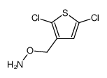 O-[(2,5-dichlorothiophen-3-yl)methyl]hydroxylamine结构式