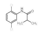 N-(2,5-dichlorophenyl)-2-methyl-propanamide结构式