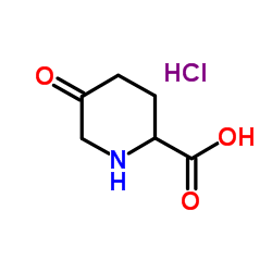 5-Oxopiperidine-2-carboxylic acid,hydrochloride structure