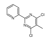 4,6-dichloro-5-methyl-2-pyridin-2-ylpyrimidine结构式