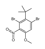 1,3-dibromo-2-tert-butyl-5-methoxy-4-nitrobenzene结构式