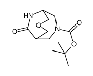 tert-butyl 10-oxo-3-oxa-7,9-diazabicyclo[3.3.2]decane-7-carboxylate结构式