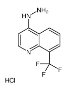 4-Hydrazino 8-trifluoromethyl-quinoline hydrochloride结构式