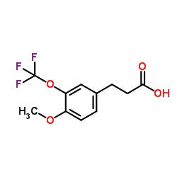 3-[4-Methoxy-3-(trifluoromethoxy)phenyl]propanoic acid structure