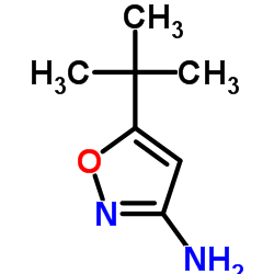 3-Amino-5-tert-butylisoxazole Structure