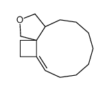 4,5,7,8,9,10,11,12,13,13a-decahydro-1H,3H-cyclobuta[1,11]cycloundeca[1,2-c]furan Structure