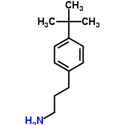 3-(4-tert-butylphenyl)propan-1-amine结构式