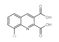 8-chloroquinoline-2,3-dicarboxylic acid Structure