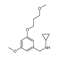 cyclopropyl-[3-methoxy-5-(3-methoxy-propoxy)-benzyl]-amine结构式