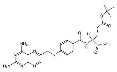 gamma-tert-butyl aminopterin Structure