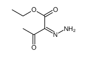ethyl 2-hydrazinylidene-3-oxobutanoate结构式