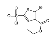 ETHYL2-BROMO-5-(CHLOROSULFONYL)THIOPHENE-3-CARBOXYLATE Structure