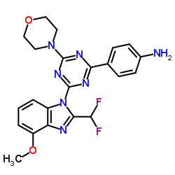 4-[4-[2-(difluoromethyl)-4-methoxybenzimidazol-1-yl]-6-morpholin-4-yl-1,3,5-triazin-2-yl]aniline图片