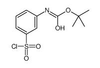 TERT-BUTYL [3-(CHLOROSULFONYL)PHENYL]CARBAMATE Structure