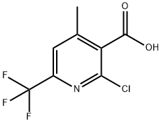 2-chloro-4-methyl-6-(trifluoromethyl)nicotinic acid picture