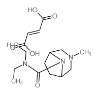 but-2-enedioic acid; N,N-diethyl-3-methyl-3,8-diazabicyclo[3.2.1]octane-8-carboxamide结构式