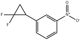 1-(2,2-difluorocyclopropyl)-3-nitrobenzene Structure