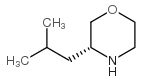 (R)-3-异丁基吗啉结构式