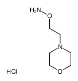 2-morpholinoethoxyamine*HCl Structure