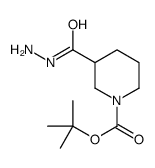 TERT-BUTYL 3-(HYDRAZINECARBONYL)PIPERIDINE-1-CARBOXYLATE Structure