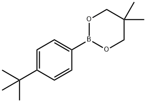4-叔丁基苯硼酸新戊二醇酯结构式