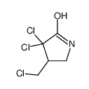 3,3-dichloro-4-(chloromethyl)pyrrolidin-2-one Structure