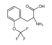 (2R)-2-amino-3-[2-(trifluoromethoxy)phenyl]propanoic acid结构式