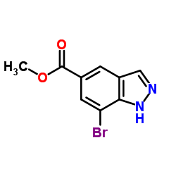 7-溴-1H-吲唑-5-甲酸甲酯结构式