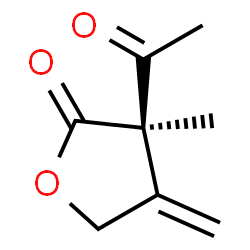 2(3H)-Furanone, 3-acetyldihydro-3-methyl-4-methylene-, (3R)- (9CI)结构式