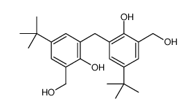 2467-07-4 structure