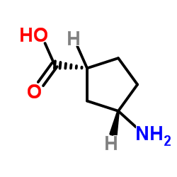 cis-3-Aminocyclopentanecarboxylic Acid Structure